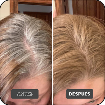 Polvo Capilar Rellenador HairGo