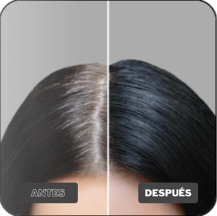 Polvo Capilar Rellenador HairGo