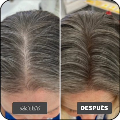 Polvo Capilar Rellenador HairGo